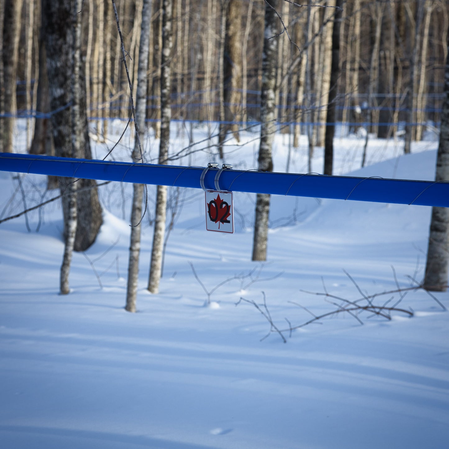 Pancarte tubulure - Modèle 02 (4"x4") - Numérotation standard