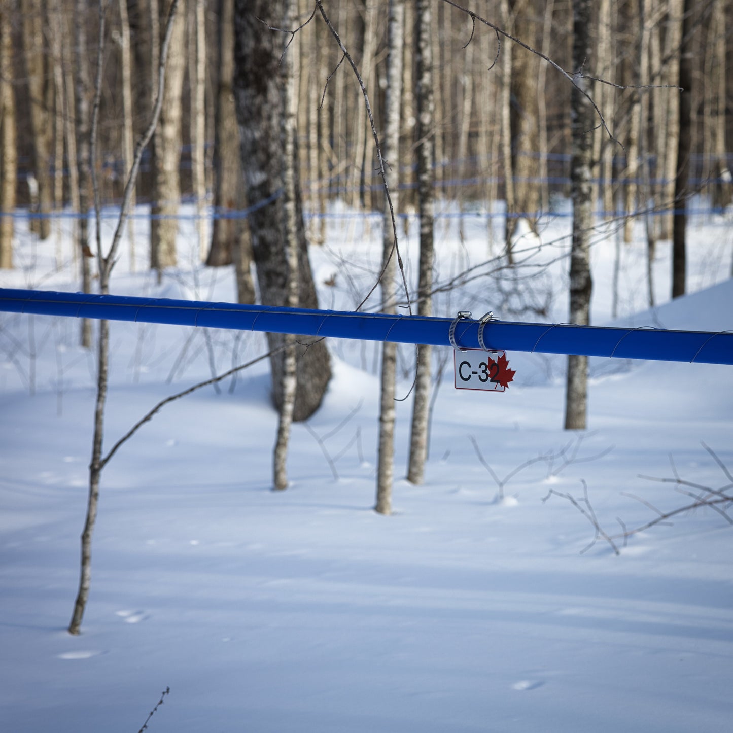Pancarte tubulure - Modèle C-32 (3"x6") - Numérotation personnalisée