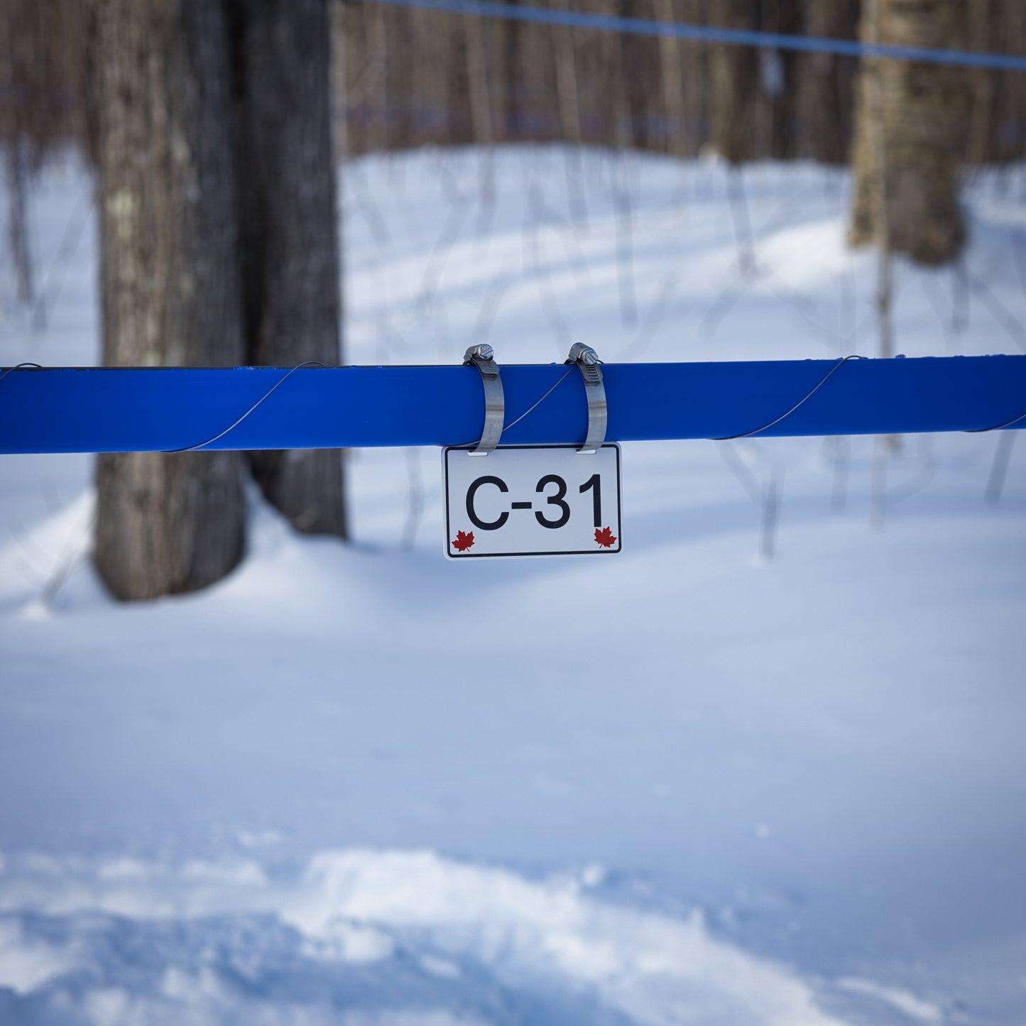 Pancarte tubulure - Modèle C-31 (3"x5") - Numérotation personnalisée