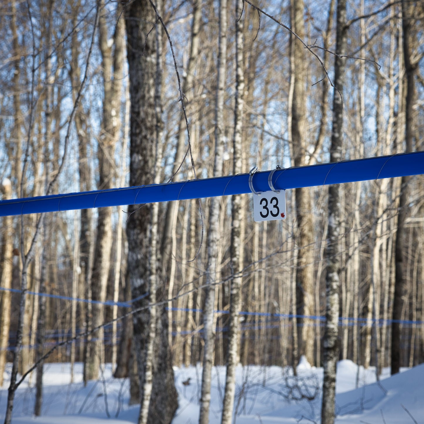 Pancarte tubulure - Modèle 33 (3"x5") - Numérotation standard