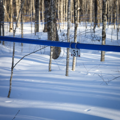 Pancarte tubulure - Modèle 31 (3"x5") - Numérotation standard