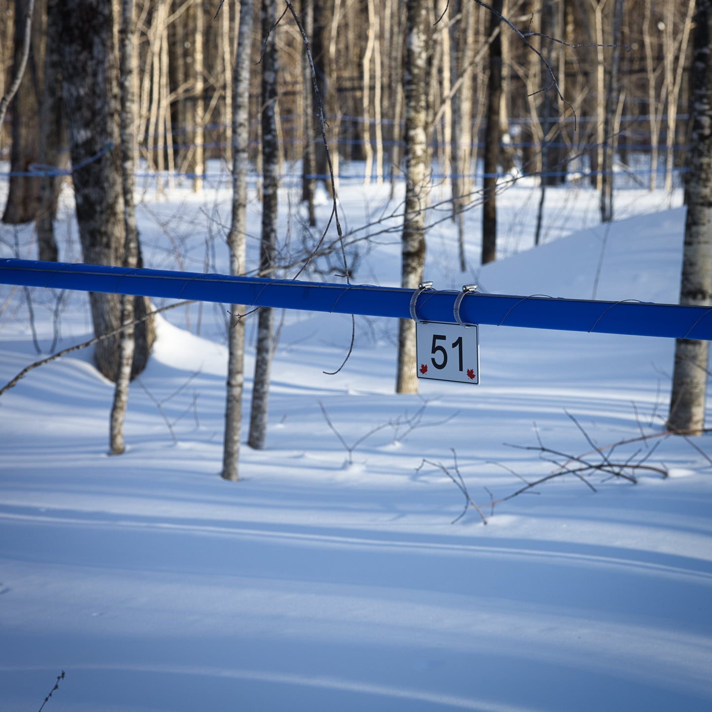 Pancarte tubulure - Modèle 51 (4"x6") - Numérotation standard