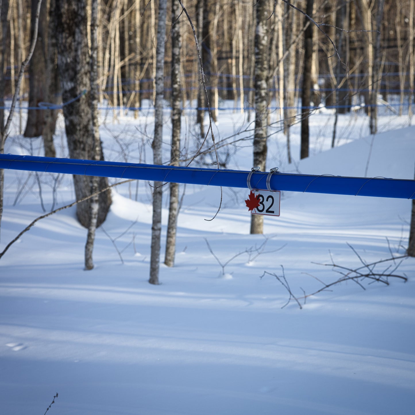 Pancarte tubulure - Modèle 32 (3"x 6") - Numérotation standard