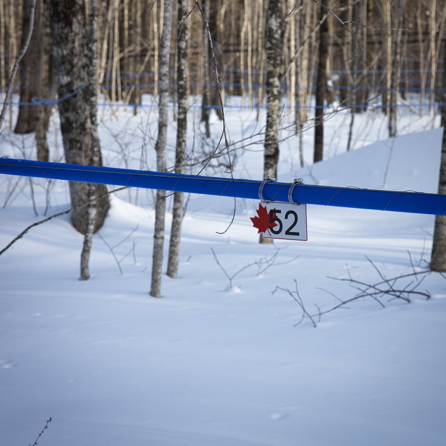 Pancarte tubulure - Modèle 52 (5"x8") - Numérotation standard